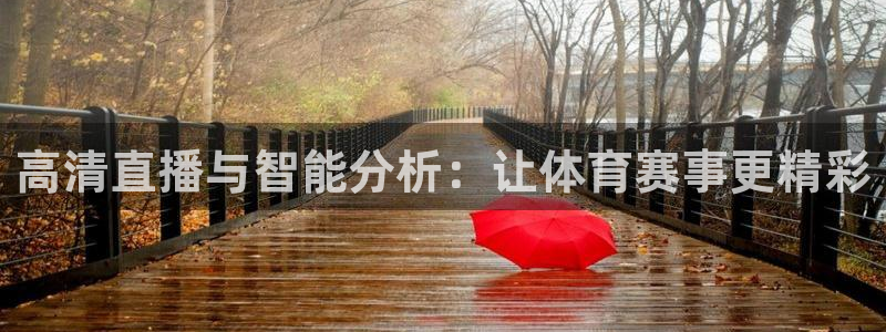 178篮球直播在线直播观看免费：高清直播与智能分析：让体育赛事更精彩